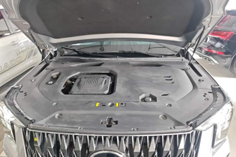 Used GAC Trumpchi GS8 2022 Dual-Engine Series 2.0TM Two-Wheel Drive Prestige Edition (7 Seats) Engine Bay