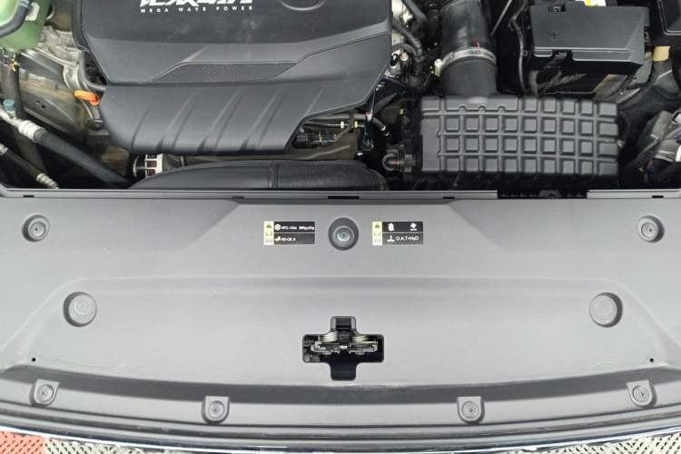 Used GAC Trumpchi GS8 2022 Flagship Series 2.0 TGDI Four-Wheel Drive Luxury Smart Connectivity Version (7 Seats) Engine Bay