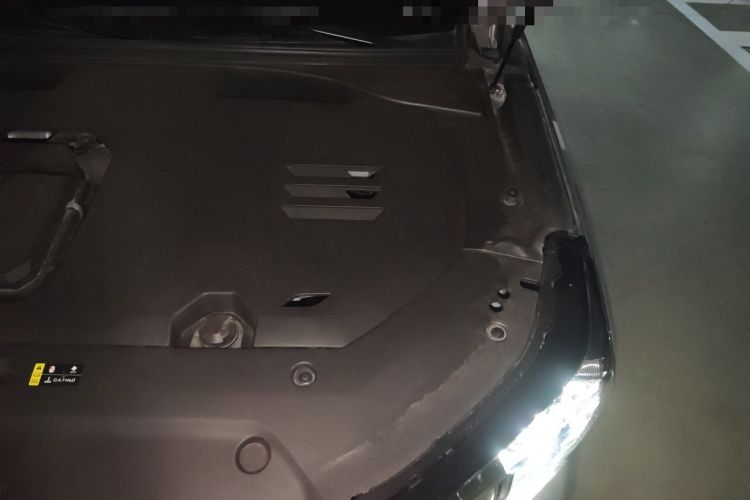 Used GAC Trumpchi GS8 2022 Dual-Engine Series 2.0TM Two-Wheel Drive Prestige Edition (7 Seats) Engine Bay Left