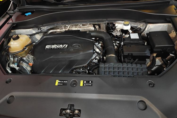 Used GAC Trumpchi GS8 2022 Flagship Series 2.0 TGDI Four-Wheel Drive Luxury Smart Connectivity Version (6 Seats) Engine Bay