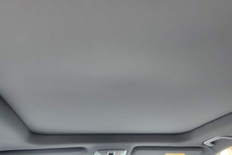 Used GAC Trumpchi GS8 2022 Linghang Series 2.0 TGDI Two-Wheel-Drive Luxury Smart Connectivity Version (7 Seats) Headliner