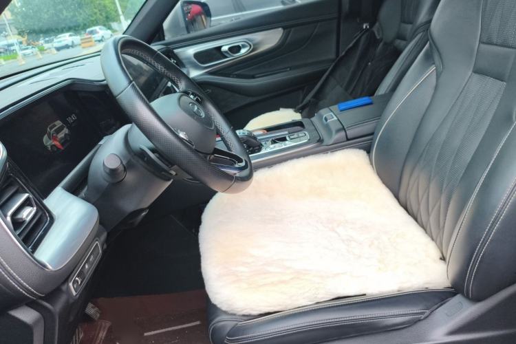 Used GAC Trumpchi GS8 2022 Linghang Series 2.0 TGDI Two-Wheel Drive Luxury Smart Connectivity Version (6 Seats) Left Front Seat