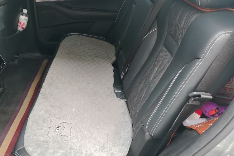 Used GAC Trumpchi GS8 2022 Linghang Series 2.0 TGDI Two-Wheel-Drive Luxury Smart Connectivity Version (7 Seats) Left Rear Seat