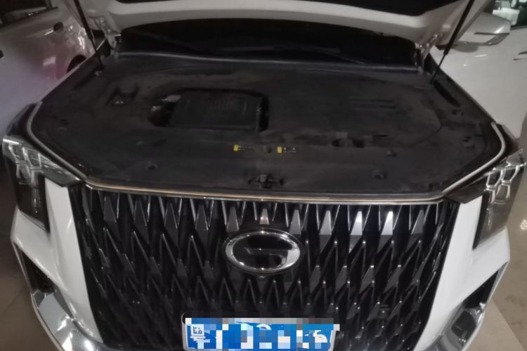 Used GAC Trumpchi GS8 2022 Dual-Engine Series 2.0TM Four-Wheel Drive Prestige Edition (6 Seats) Engine Bay