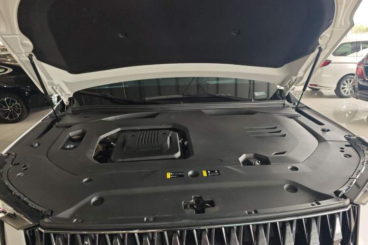 Used GAC Trumpchi GS8 2022 Dual-Engine Series 2.0TM Two-Wheel Drive Prestige Edition (7 Seats) Engine Bay