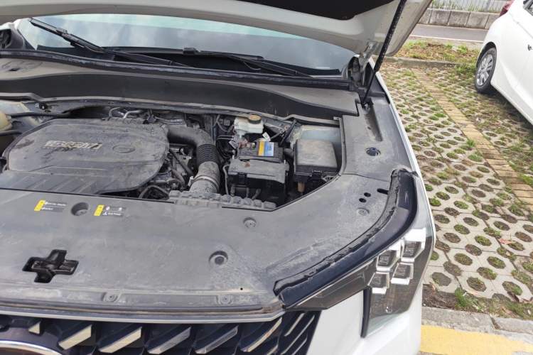 Used GAC Trumpchi GS8 2022 Linghang Series 2.0 TGDI Two-Wheel-Drive Luxury Smart Connectivity Version (7 Seats) Engine Bay Left