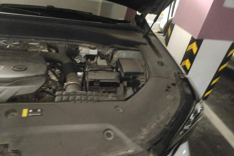 Used GAC Trumpchi GS8 2022 Linghang Series 2.0 TGDI Two-Wheel-Drive Luxury Smart Connectivity Version (7 Seats) Engine Bay Left