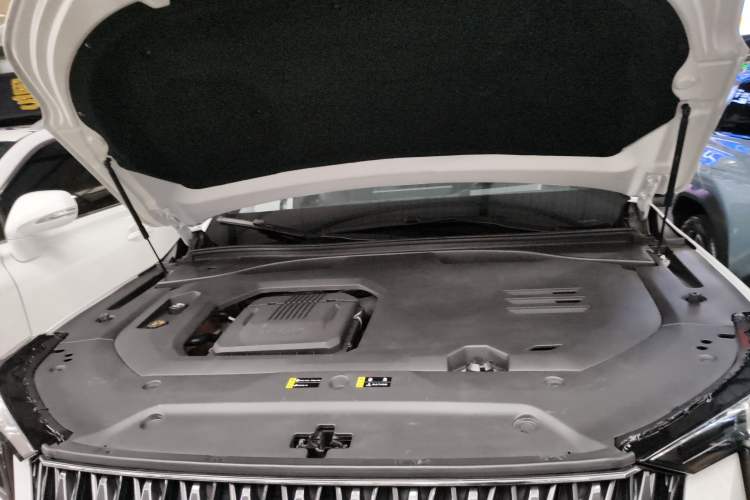 Used GAC Trumpchi GS8 2022 Dual-Engine Series 2.0TM Two-Wheel Drive Prestige Edition (7 Seats) Engine Bay