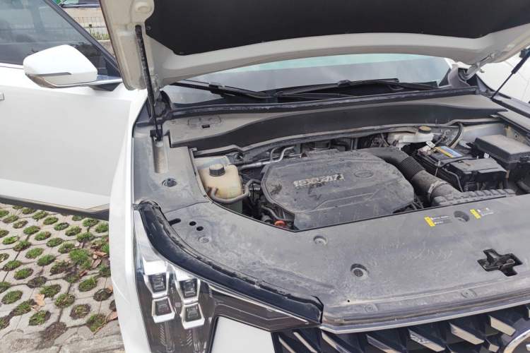 Used GAC Trumpchi GS8 2022 Linghang Series 2.0 TGDI Two-Wheel-Drive Luxury Smart Connectivity Version (7 Seats) Engine Bay Right