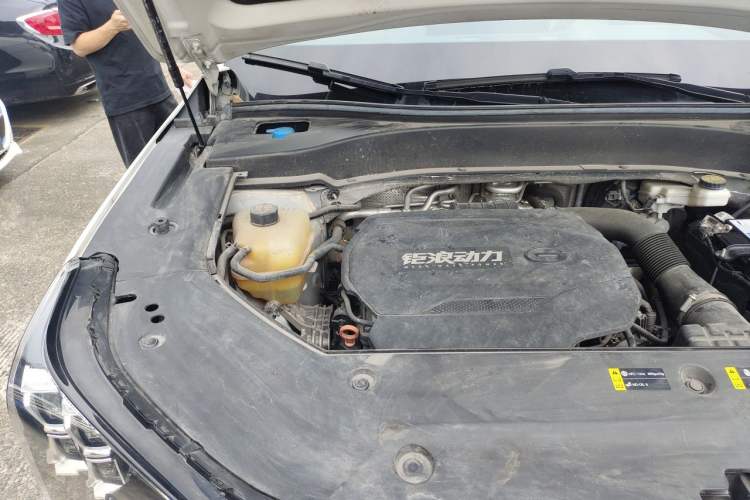 Used GAC Trumpchi GS8 2022 Linghang Series 2.0 TGDI Two-Wheel Drive Luxury Smart Connectivity Version (6 Seats) Engine Bay Right
