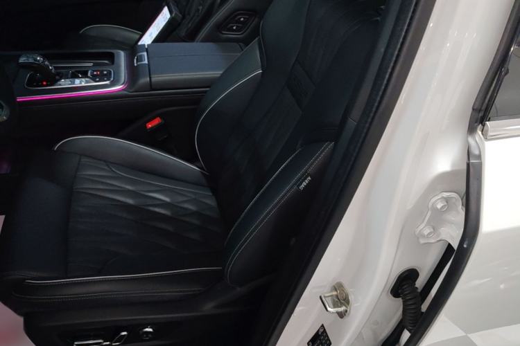 Used GAC Trumpchi GS8 2022 LINGHANG Series 2.0 TGDI Two-Wheel-Drive Luxury Edition (7 Seats) Left Front Seat