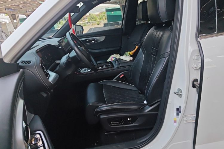 Used GAC Trumpchi GS8 2022 Dual-Engine Series 2.0TM Two-Wheel Drive Prestige Edition (7 Seats) Left Front Seat