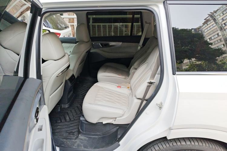 Used GAC Trumpchi GS8 2022 Dual-Engine Series 2.0TM Four-Wheel Drive Prestige Edition (6 Seats) Left Rear Seat