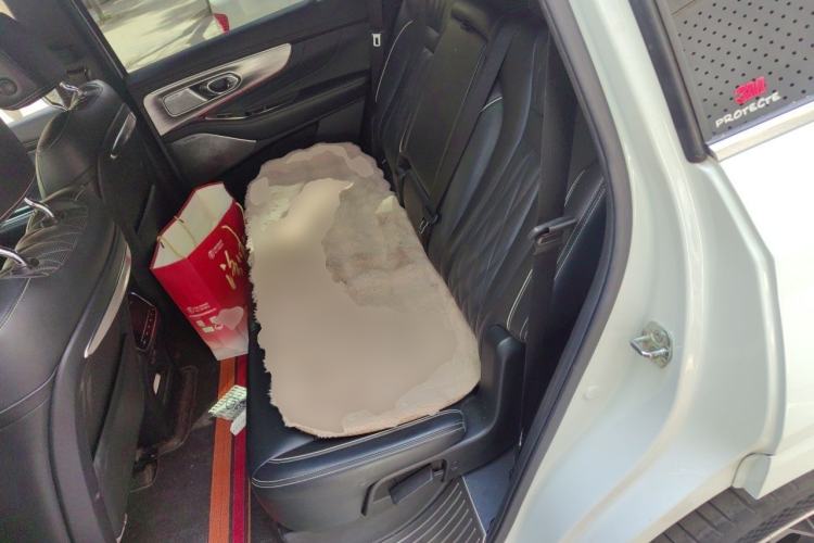 Used GAC Trumpchi GS8 2022 Flagship Series 2.0 TGDI Two-Wheel-Drive Prestige Edition (7 Seats) Left Rear Seat
