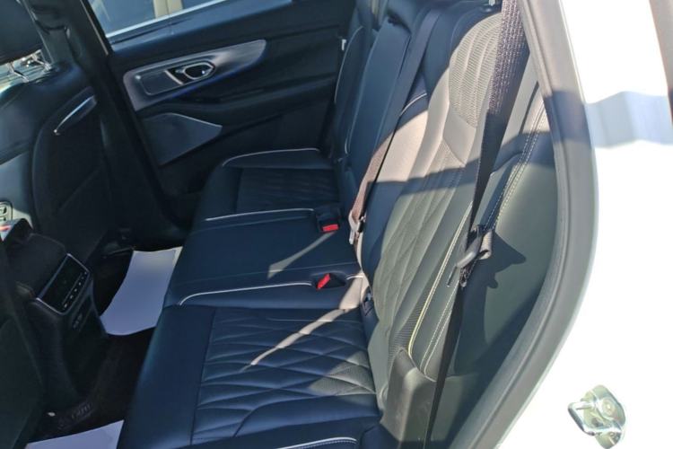 Used GAC Trumpchi GS8 2022 Flagship Series 2.0 TGDI Two-Wheel-Drive Prestige Edition (7 Seats) Left Rear Seat