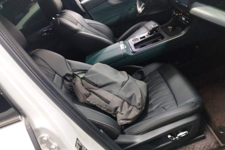 Used GAC Trumpchi GS8 2022 Flagship Series 2.0 TGDI Four-Wheel Drive Luxury Smart Connectivity Version (6 Seats) Right Front Seat