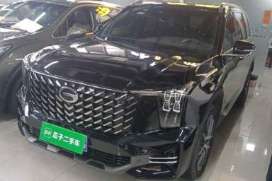 Used GAC Trumpchi GS8 2024 Linghang Series 2.0 TGDI Two-Wheel Drive Luxury Smart Connectivity Version