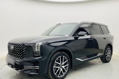 Used GAC Trumpchi GS8 2024 Linghang Series 2.0 TGDI Two-Wheel Drive Luxury Smart Connectivity Version