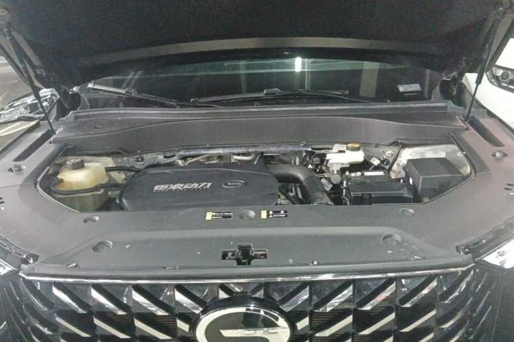 Used GAC Trumpchi GS8 2024 Linghang Series 2.0 TGDI Two-Wheel Drive Luxury Smart Connectivity Version Engine Bay