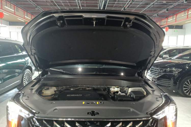 Used GAC Trumpchi GS8 2024 Linghang Series 2.0 TGDI Two-Wheel Drive Luxury Smart Connectivity Version Engine Bay