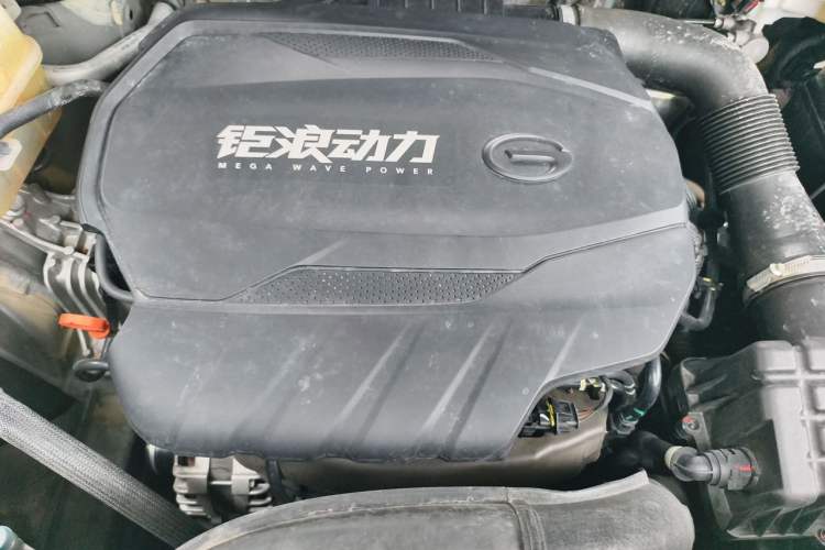 Used GAC Trumpchi GS8 2024 Linghang Series 2.0 TGDI Two-Wheel Drive Luxury Smart Connectivity Version Engine Bay