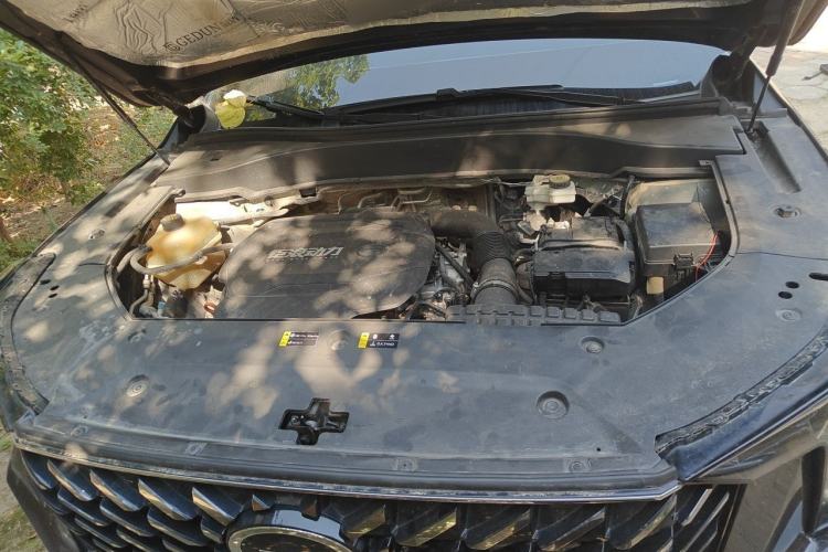 Used GAC Trumpchi GS8 2024 Linghang Series 2.0 TGDI Two-Wheel Drive Luxury Smart Connectivity Version Engine Bay