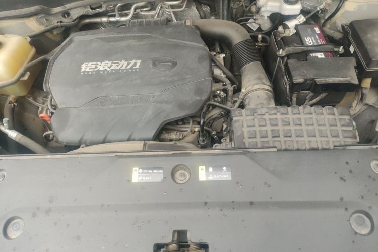Used GAC Trumpchi GS8 2024 Linghang Series 2.0 TGDI Two-Wheel Drive Luxury Smart Connectivity Version Engine Bay