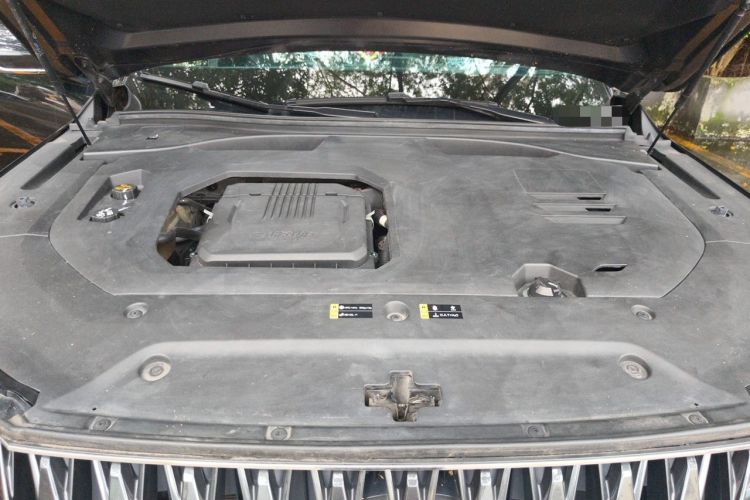 Used GAC Trumpchi GS8 2024 Dual-Motor Series 2.0TM Two-Wheel Drive Premium Edition Engine Bay