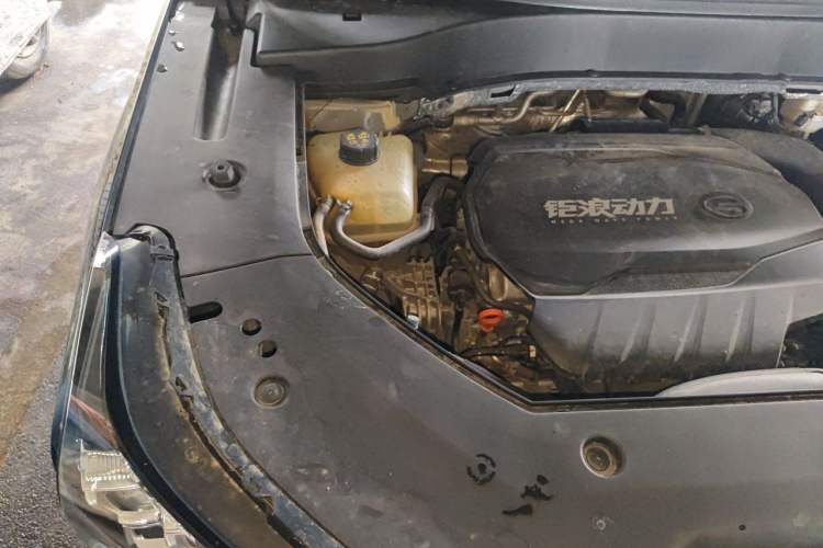 Used GAC Trumpchi GS8 2024 Linghang Series 2.0 TGDI Two-Wheel Drive Luxury Smart Connectivity Version Engine Bay Right