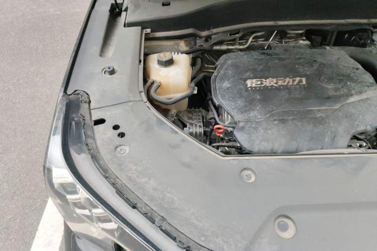 Used GAC Trumpchi GS8 2024 Linghang Series 2.0 TGDI Two-Wheel Drive Luxury Smart Connectivity Version Engine Bay Right