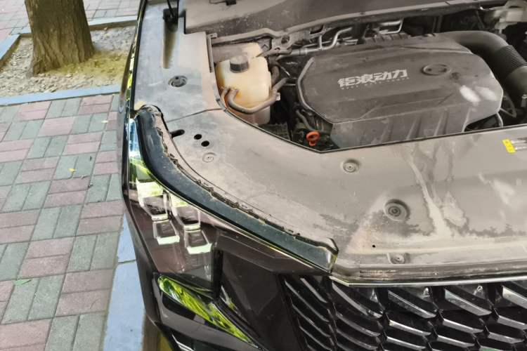 Used GAC Trumpchi GS8 2024 Linghang Series 2.0 TGDI Two-Wheel Drive Luxury Smart Connectivity Version Engine Bay Right