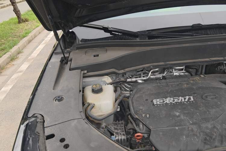 Used GAC Trumpchi GS8 2024 Linghang Series 2.0 TGDI Two-Wheel Drive Luxury Smart Connectivity Version Engine Bay Right