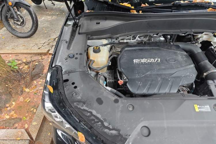 Used GAC Trumpchi GS8 2024 Linghang Series 2.0 TGDI Two-Wheel Drive Luxury Smart Connectivity Version Engine Bay Right