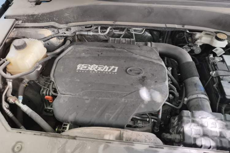 Used GAC Trumpchi GS8 2024 Linghang Series 2.0 TGDI Two-Wheel Drive Luxury Smart Connectivity Version Engine Bay