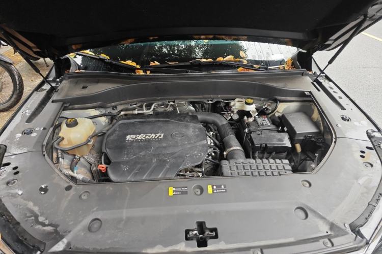 Used GAC Trumpchi GS8 2024 Linghang Series 2.0 TGDI Two-Wheel Drive Luxury Smart Connectivity Version Engine Bay