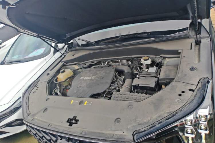 Used GAC Trumpchi GS8 2024 Linghang Series 2.0 TGDI Two-Wheel Drive Luxury Smart Connectivity Version Engine Bay