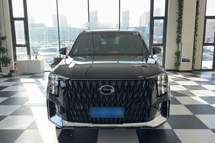 Used GAC Trumpchi GS8 2024 Dual-Motor Series 2.0TM Two-Wheel Drive Premium Edition Exterior 1