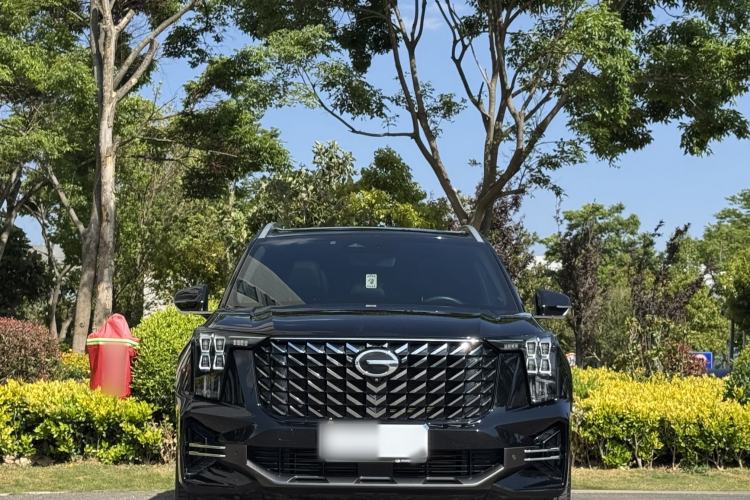 Used GAC Trumpchi GS8 2024 Linghang Series 2.0 TGDI Two-Wheel Drive Luxury Smart Connectivity Version Exterior 3