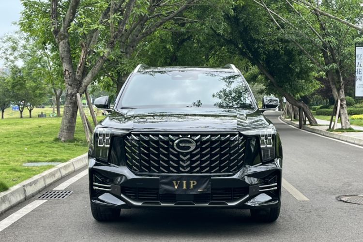 Used GAC Trumpchi GS8 2024 Linghang Series 2.0 TGDI Two-Wheel Drive Luxury Smart Connectivity Version Exterior 5