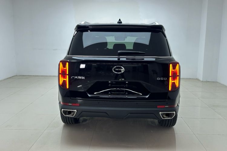 Used GAC Trumpchi GS8 2024 Linghang Series 2.0 TGDI Two-Wheel Drive Luxury Smart Connectivity Version Exterior 6