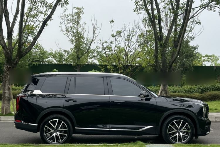 Used GAC Trumpchi GS8 2024 Linghang Series 2.0 TGDI Four-Wheel Drive Luxury Smart Connectivity Version Exterior 8