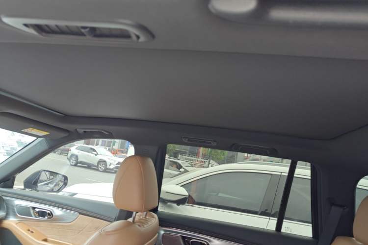 Used GAC Trumpchi GS8 2024 Dual-Motor Series 2.0TM Four-Wheel Drive Premium Edition Headliner