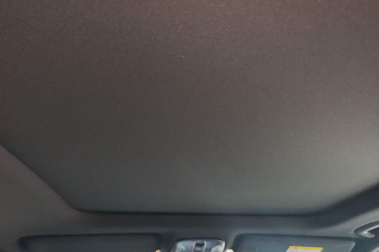 Used GAC Trumpchi GS8 2024 Linghang Series 2.0 TGDI Two-Wheel Drive Luxury Smart Connectivity Version Headliner
