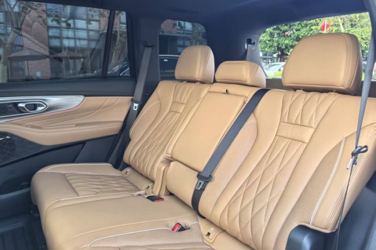 Used GAC Trumpchi GS8 2024 Linghang Series 2.0 TGDI Two-Wheel Drive Luxury Smart Connectivity Version Interior 4