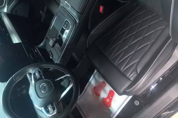Used GAC Trumpchi GS8 2024 Linghang Series 2.0 TGDI Two-Wheel Drive Luxury Smart Connectivity Version Left Front Seat