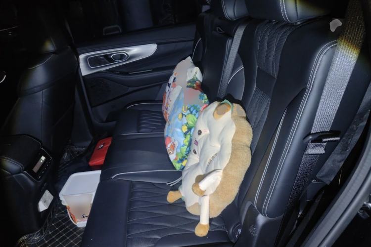 Used GAC Trumpchi GS8 2024 Linghang Series 2.0 TGDI Two-Wheel Drive Luxury Smart Connectivity Version Left Rear Seat