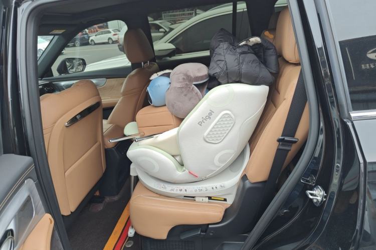 Used GAC Trumpchi GS8 2024 Dual-Motor Series 2.0TM Four-Wheel Drive Premium Edition Left Rear Seat