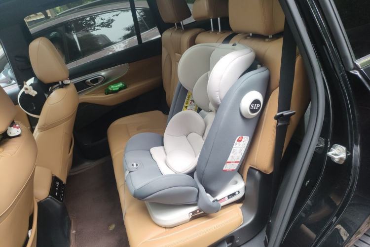 Used GAC Trumpchi GS8 2024 Linghang Series 2.0 TGDI Two-Wheel Drive Luxury Smart Connectivity Version Left Rear Seat