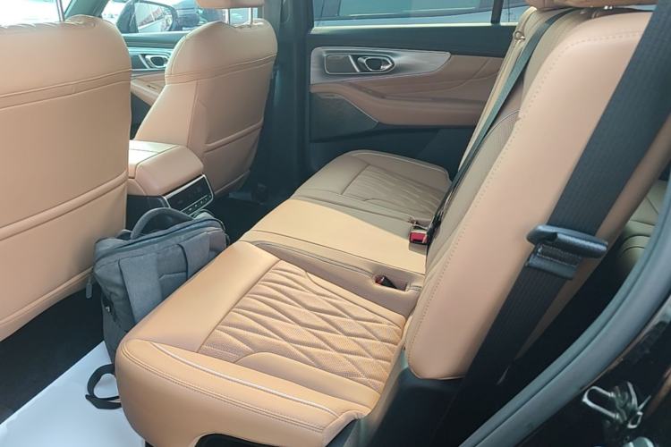 Used GAC Trumpchi GS8 2024 Linghang Series 2.0 TGDI Four-Wheel Drive Luxury Smart Connectivity Version Left Rear Seat