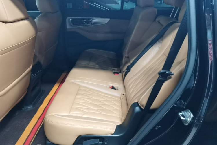 Used GAC Trumpchi GS8 2024 Linghang Series 2.0 TGDI Two-Wheel Drive Luxury Smart Connectivity Version Left Rear Seat